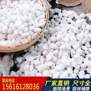 天津厂家直销白石子鹅卵石石头彩色石头鱼缸多肉铺面小石头雨花石