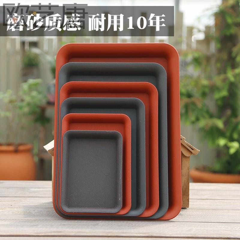 黄缘龟水盆乌龟食盆水盆泡水盆爬宠水盘塑料饮水盆食台洗澡盆安缘