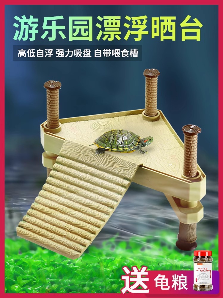 乌龟晒台爬宠陆高水位造
