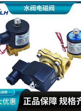 2W250-25 1寸水阀气阀常闭二位二通阀AC220V DC24V AV110V DC12V