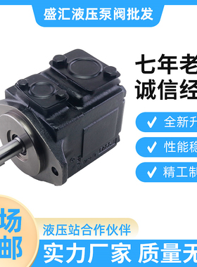 新款T67B B04 1R02 A1M0 VC00叶片泵T6CT6DT6E液压定量泵工程现货