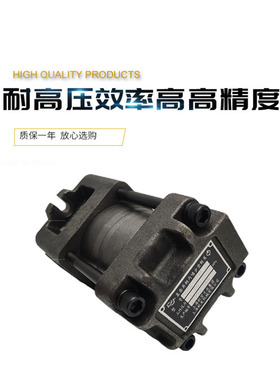 上海航发 NB4-G40F G50F G63F NB5-G80F G100F G125F内啮合齿轮泵