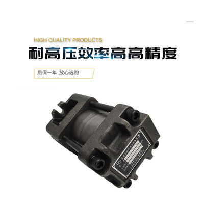 上海航发 NB4-G40F G50F G63F NB5-G80F G100F G125F内啮合齿轮泵