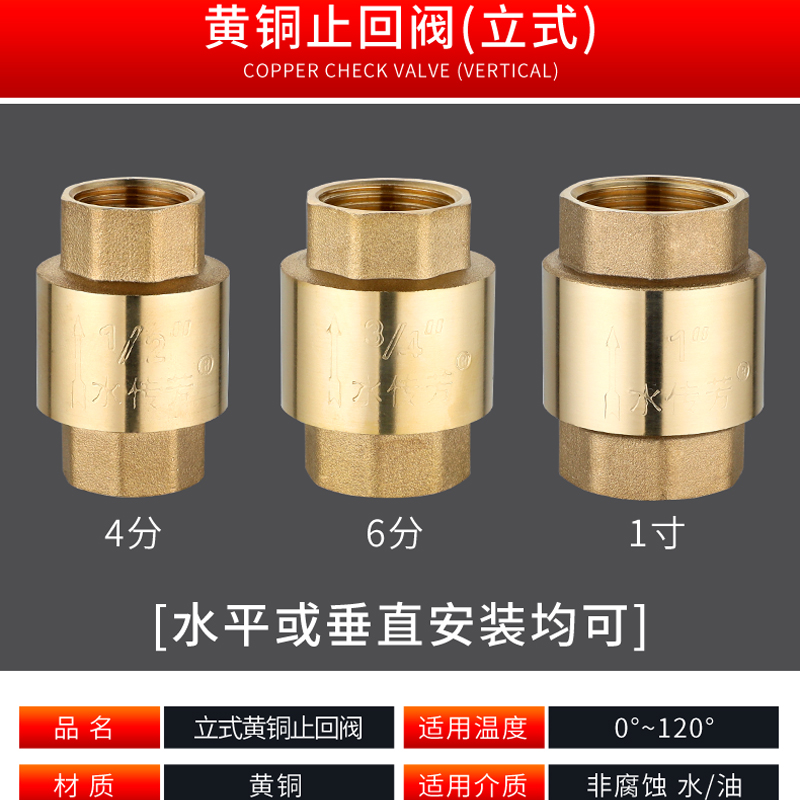 全铜卧止回阀分水表弹簧