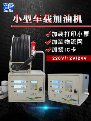 森屿大流量柴油小型车载