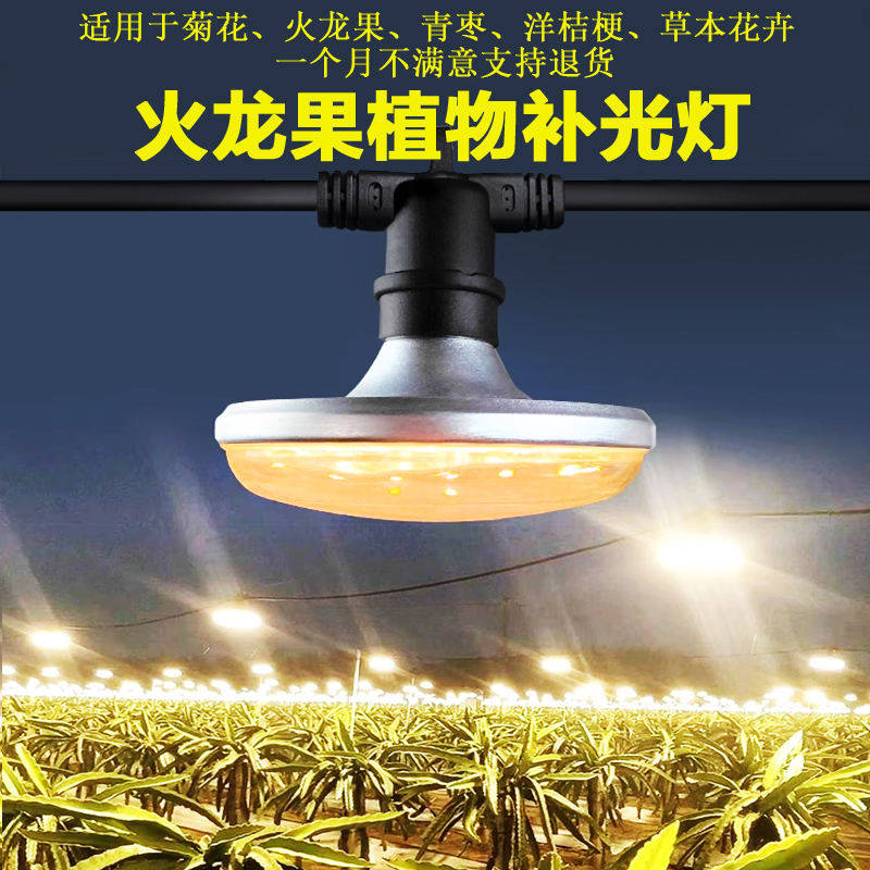 LED植物灯太阳光火龙果菊花草莓育苗兰花卉绿植补光灯月季苔藓