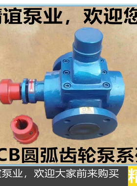 高温圆弧齿轮油泵YCB10/0.6 润滑泵 增压泵 燃油泵 齿轮泵自吸泵