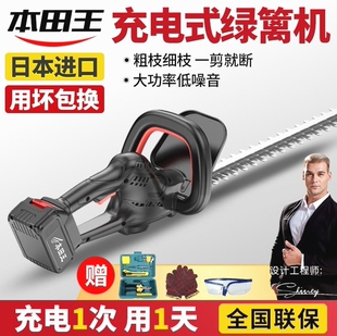 德国进口进口电动绿篱机充电式园林绿化篱笆粗树枝修剪机锂电池采