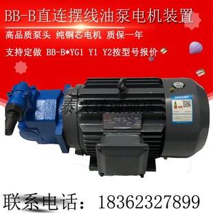 B63Y调压泵Y1G B50Y 2G1滤油车Y2 B40Y1G摆线齿轮油泵电机BB