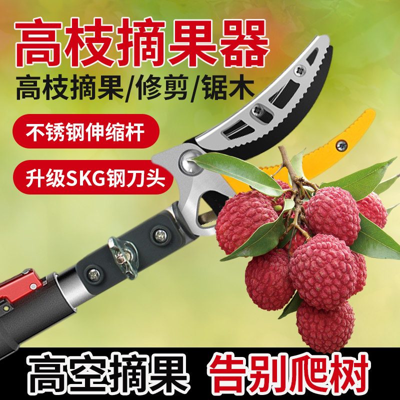 摘果神器采柿子杨梅荔枝