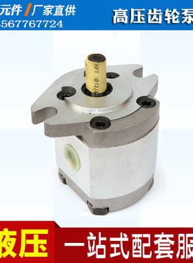 高压齿轮泵液压油泵HGP-1A-F1/F2/F3/F4R/F5R/F6R/F7RF8R/RX2B/4B