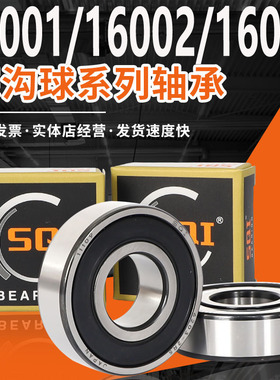 SQI高速轴承大全16001 16002 16003 16004 16005 16006 16007ZZ