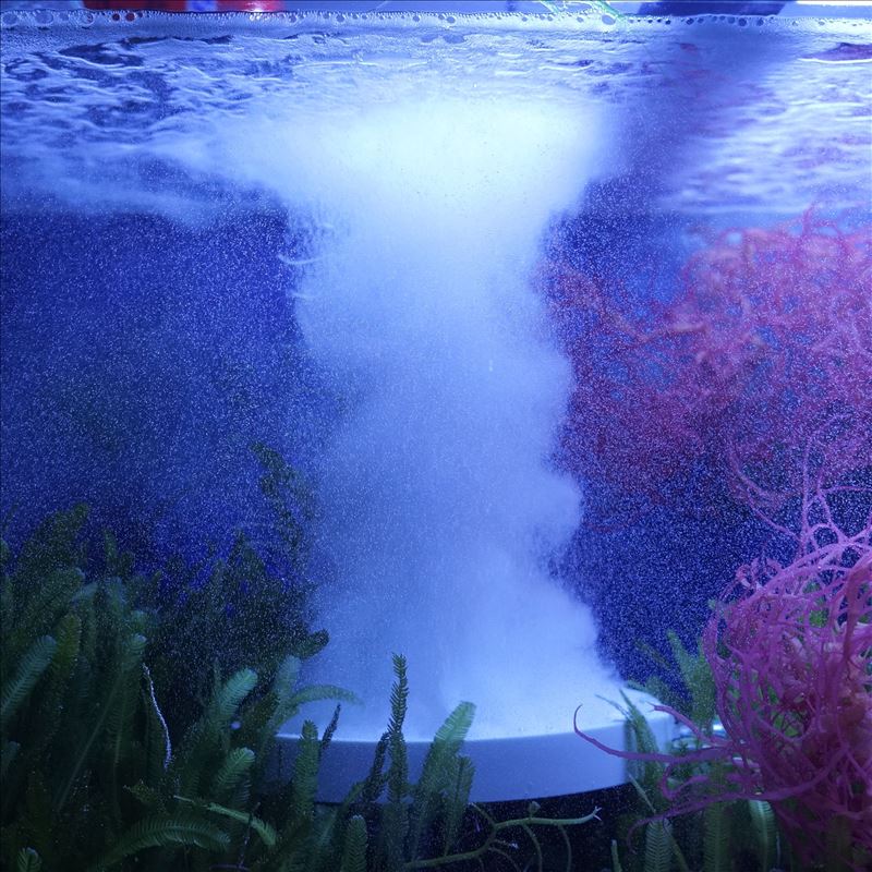 鱼佬大气氧气盘水族箱配件鱼缸造景增氧泵养鱼设备气盘 雾化气盘