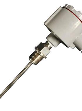 wzpk346防爆热电阻wzpk2-346 L=200mm ExiaIICT4 0-150℃ m20*1.5