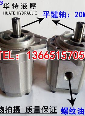 齿轮泵CBF-F425-ALP CBF-F425-ALPL CBF-F420-ALP CBF-F420-ALPL