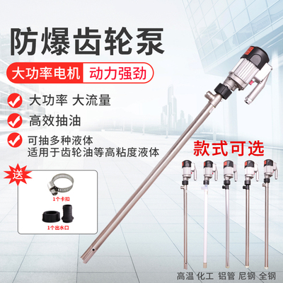 夏琅电动抽油泵大功率手提式防爆齿轮插桶泵油桶泵夏朗抽液油抽子