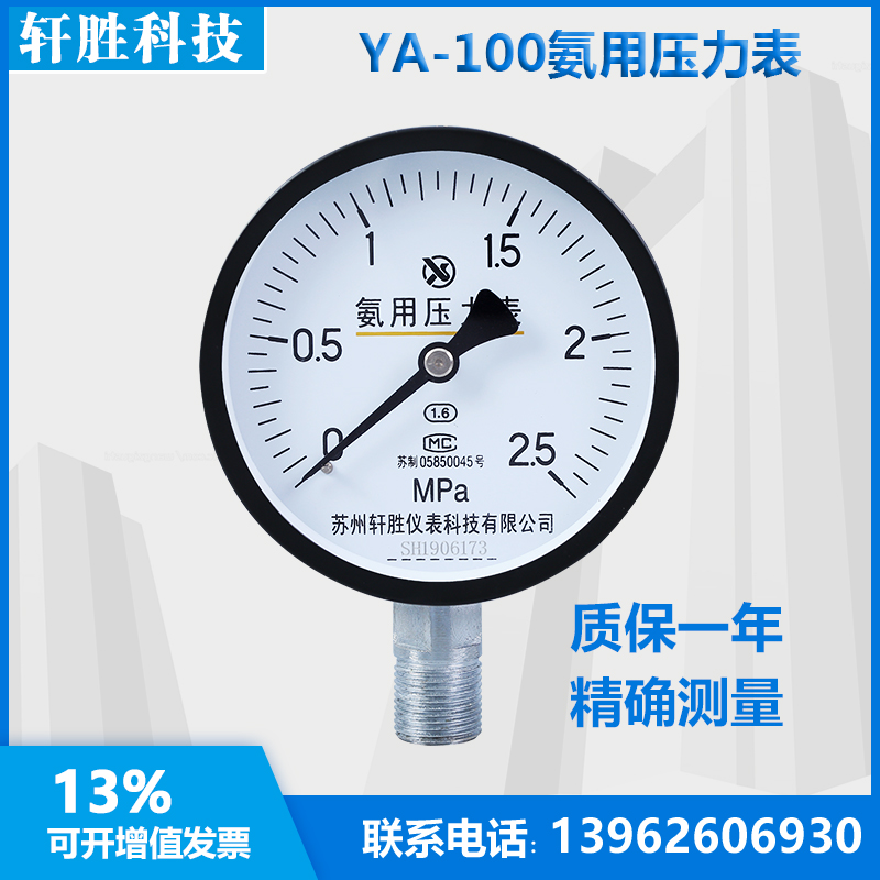 氨气压力表用苏州轩胜仪