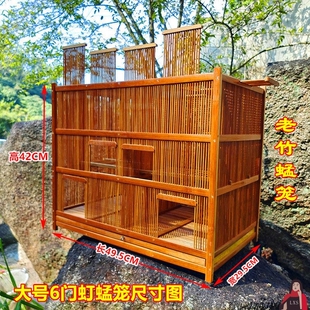 蚂蚱笼子养殖喂养蚂蚱笼蝈蝈丁蚱蜢箱笼虰蜢蟋蟀笼鸟类防晒防撞笼