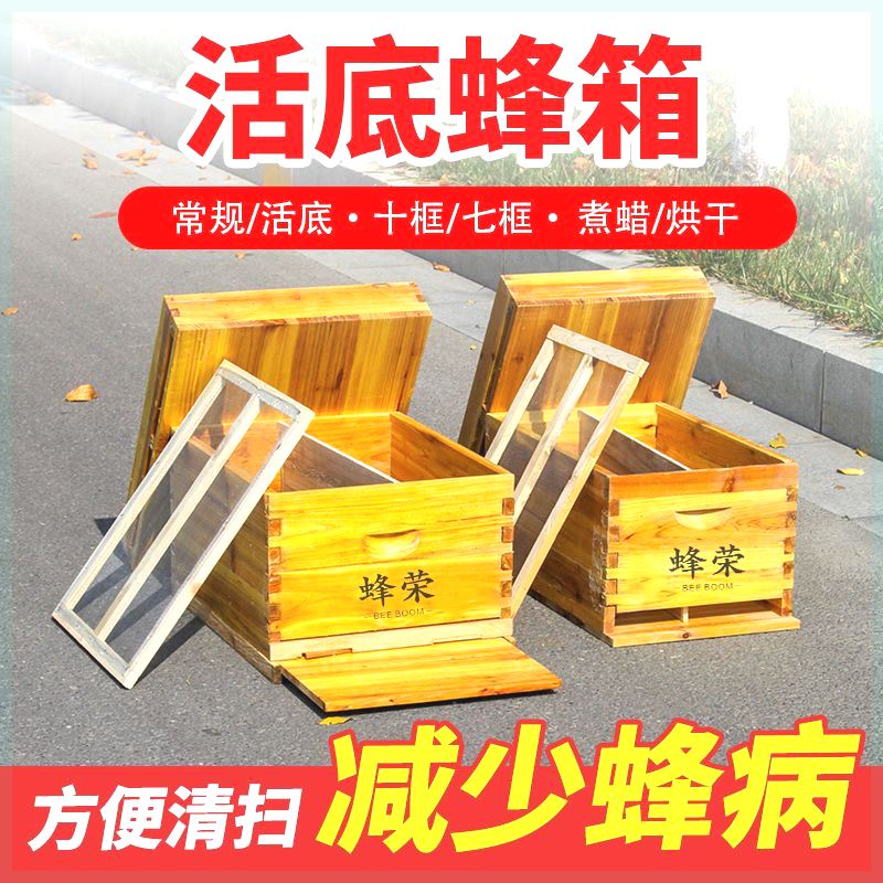 中蜂活底抽拉十框七标准