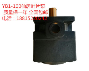 100叶片泵平面磨床油泵仙居泵压力泵抢购仙居液压有限公司 YB1