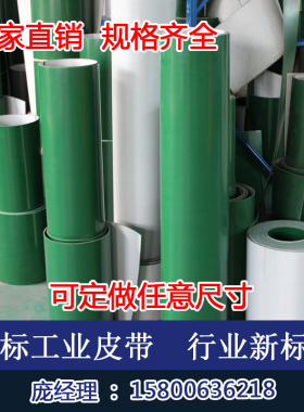 专业生产PVC轻型绿色输送带流水线传送带平皮带非标准件1-6MM