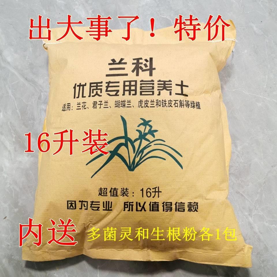 兰花高级专用土草蟹爪蝴图片