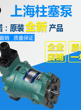 新款10YCY 25YCY 40YCY 63YCY 80YCY 160YCY14-1D上海轴向柱包邮