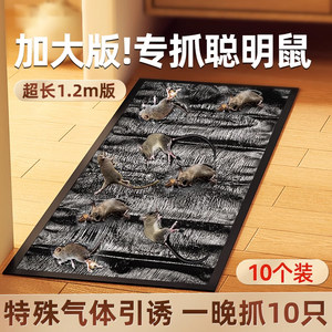 老鼠粘强力粘鼠板超强大号胶粘大老鼠灭鼠魔毯捕鼠神器一窝端正品