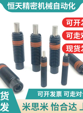 PJLF5/6/8/10/12-3/5/10粗牙弹簧柱塞ZAW01-M5 6 8 10 12-HZ3 5 1