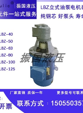 LBZ-125/100/80立式齿轮油泵电机装置LWBZ-CBB125/B80/100三相4KW