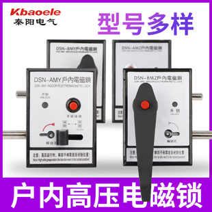 BMZ BMY 户内高压电磁锁DSN DSN DMZ左开右开 1Z开关柜门DMY