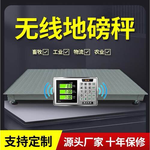 德国进口上海耀华电子小