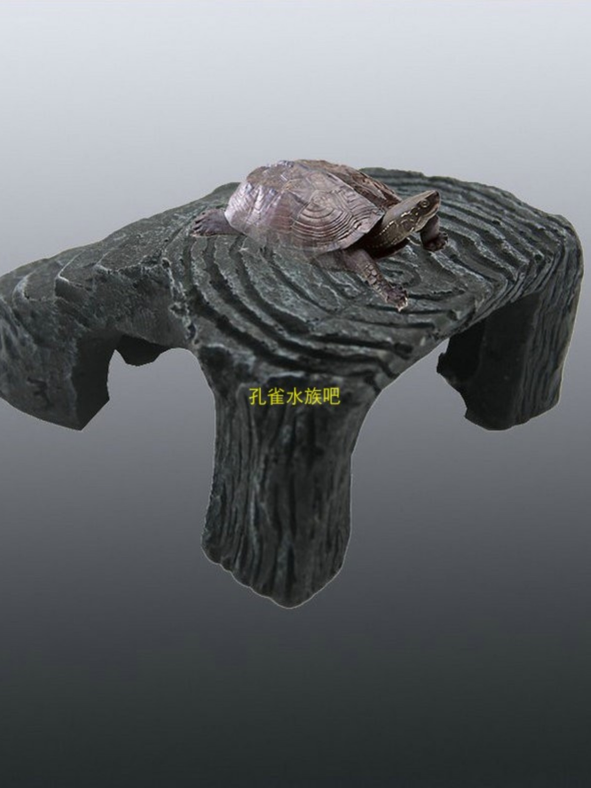 爬宠虫箱超大号躲避屋窝