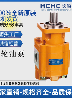 原装HCHC合肥长源液压齿轮油泵CBGTC2100/2080/2063-BLH 液压泵