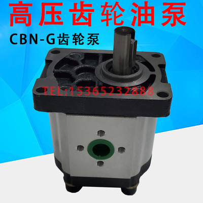 液压齿轮油泵 CBN-G310 G316 G314 G320 G325 G306 G304 高压泵