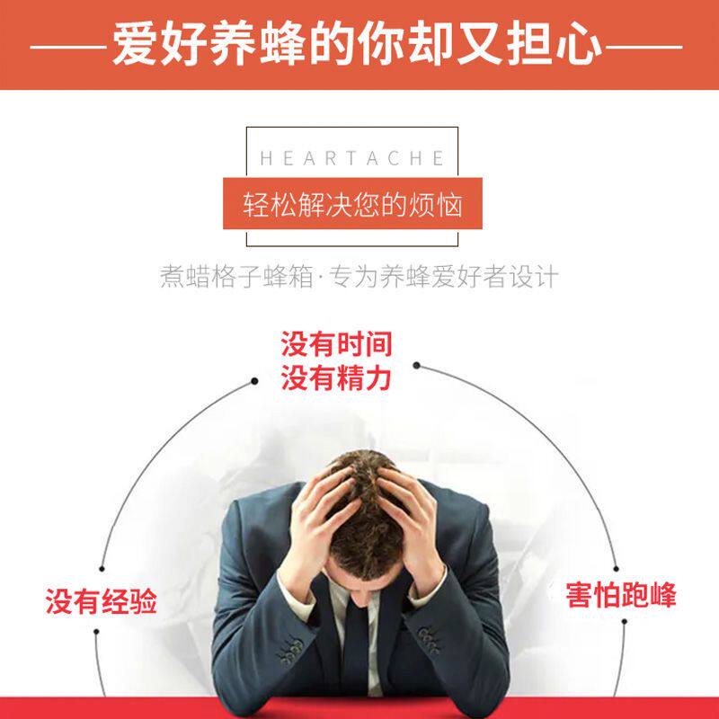 格子蜂箱土养箱蜜蜂箱巢蜜箱蜂箱五层全观察门箱养蜂工具组好发货