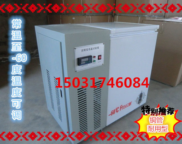 迷你型低温试验箱-40度-50度低温试验箱-60度低温冰箱低温冰柜