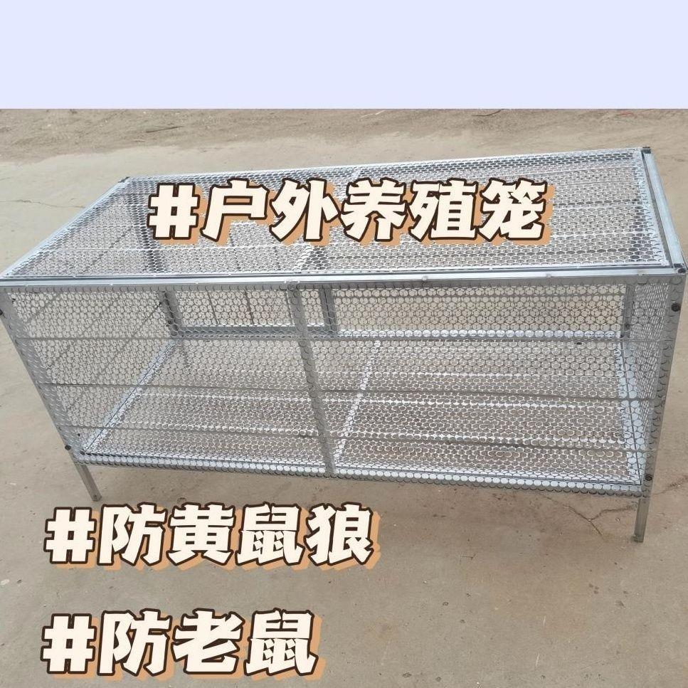 加密笼子特防鼠户外鸡鸽