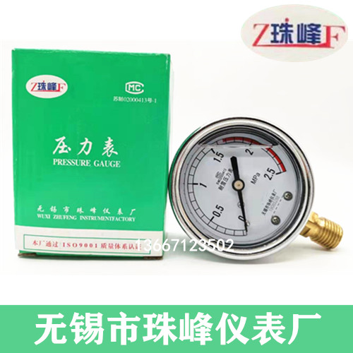 无锡珠峰抗振压力表耐震