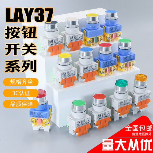 自复位开关LAY37-11BNZS平头按钮自锁22MM启动停止圆形电源Y090