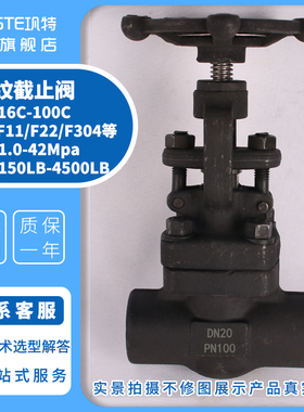 A105锻钢内螺纹截止阀J11H-16C-25C100C高温高压内丝丝扣丝口阀门