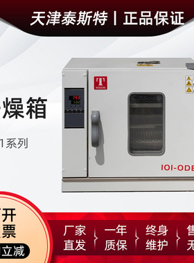 天津泰斯特101-0DB/1DB/2DB电热鼓风干燥箱高温箱实验室烘箱烤箱