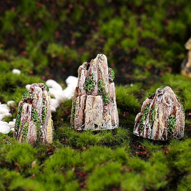 多肉花盆装饰苔藓微景观
