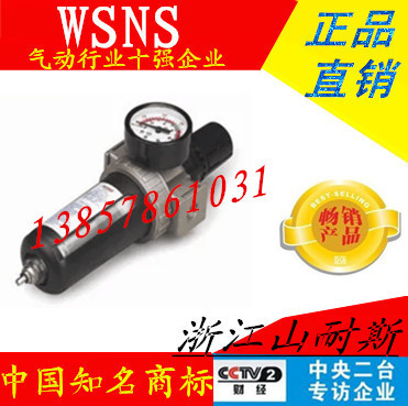 山耐斯气源处理器调压阀