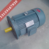 3.3kw双速电机花键 4极2.2 塔机变极多速三相异步电动机YD132S