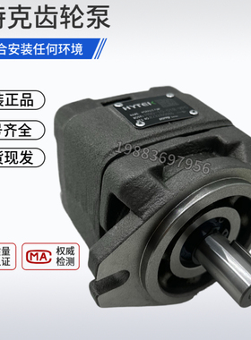海特克内啮合齿轮泵HG1-63/25/32-01R-VP油泵HG0-8-10-16-20-25