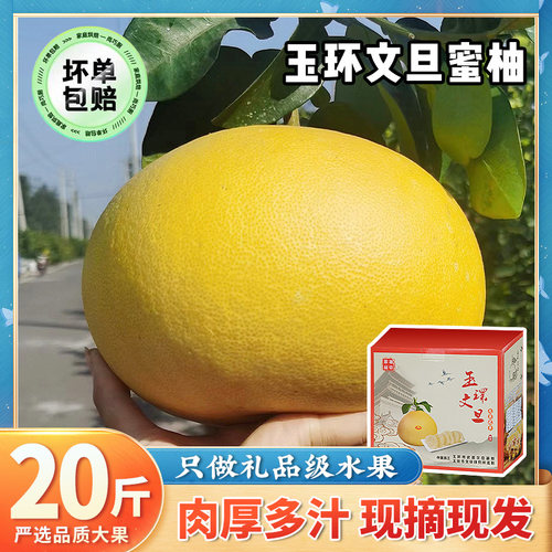 正宗玉环文旦柚子正当季