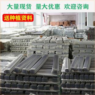 【量大超实惠】淮山种植槽山药种植槽浅生槽加厚`塑料定向槽u型槽