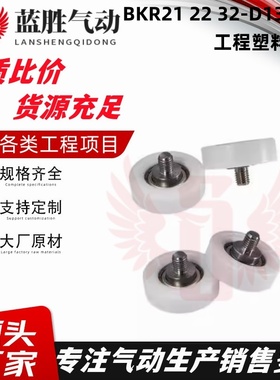 BKR21 22 32-D13 D14 D16 D18 D19 D20 D22 D24 D26工程塑料轴承
