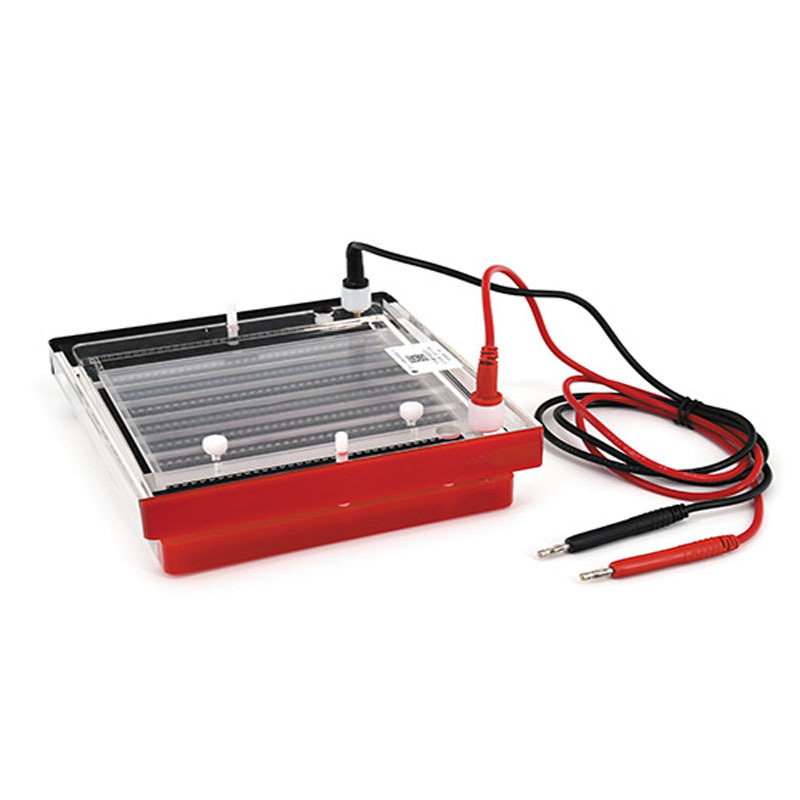 北京六一DYCP-44P型快速凝胶电泳仪